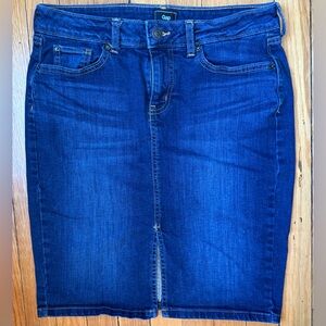 GAP Women's Dark Blue Pencil Skirt